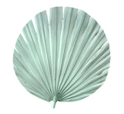 Palm Round Cut