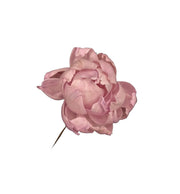 Sola Peony Flower